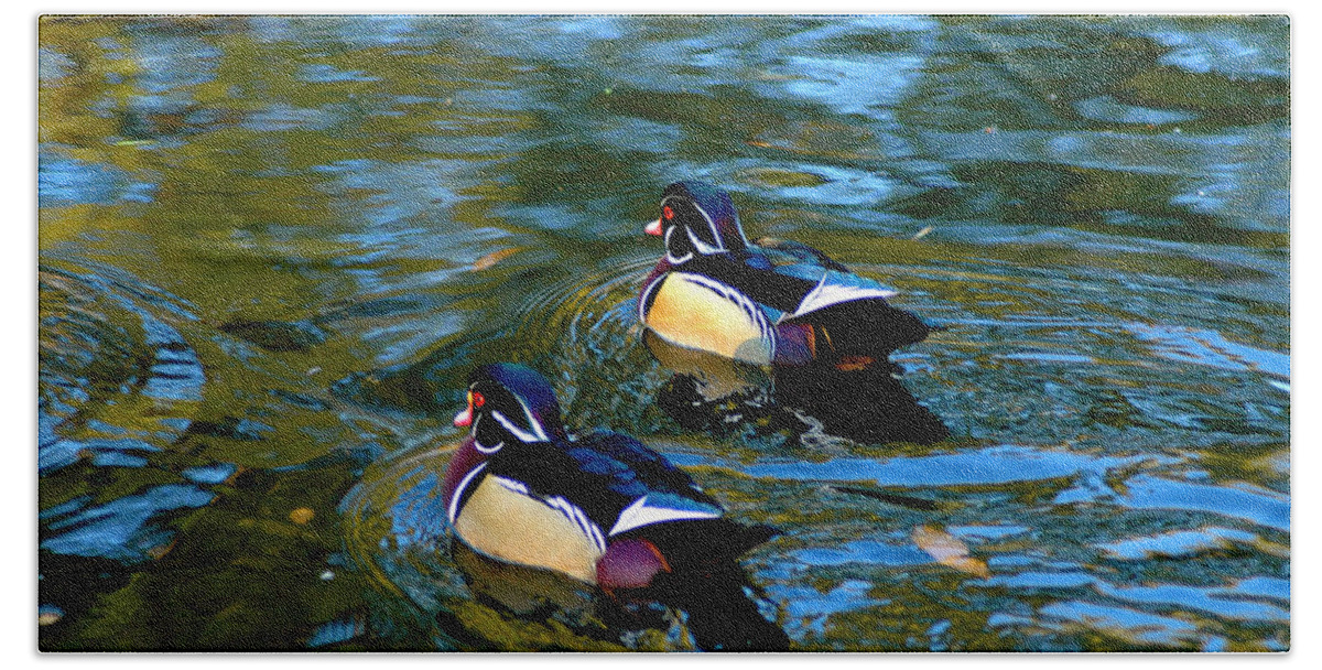 Clay Bath Sheet featuring the photograph Wood Duck #3 by Clayton Bruster