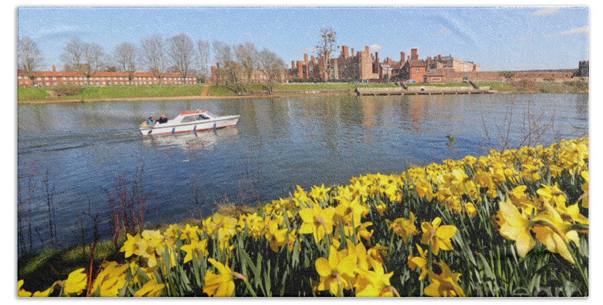 Daffodils Beside The Thames At Hampton Court London Uk Bath Towel featuring the photograph Daffodils beside the Thames at Hampton Court London UK #5 by Julia Gavin