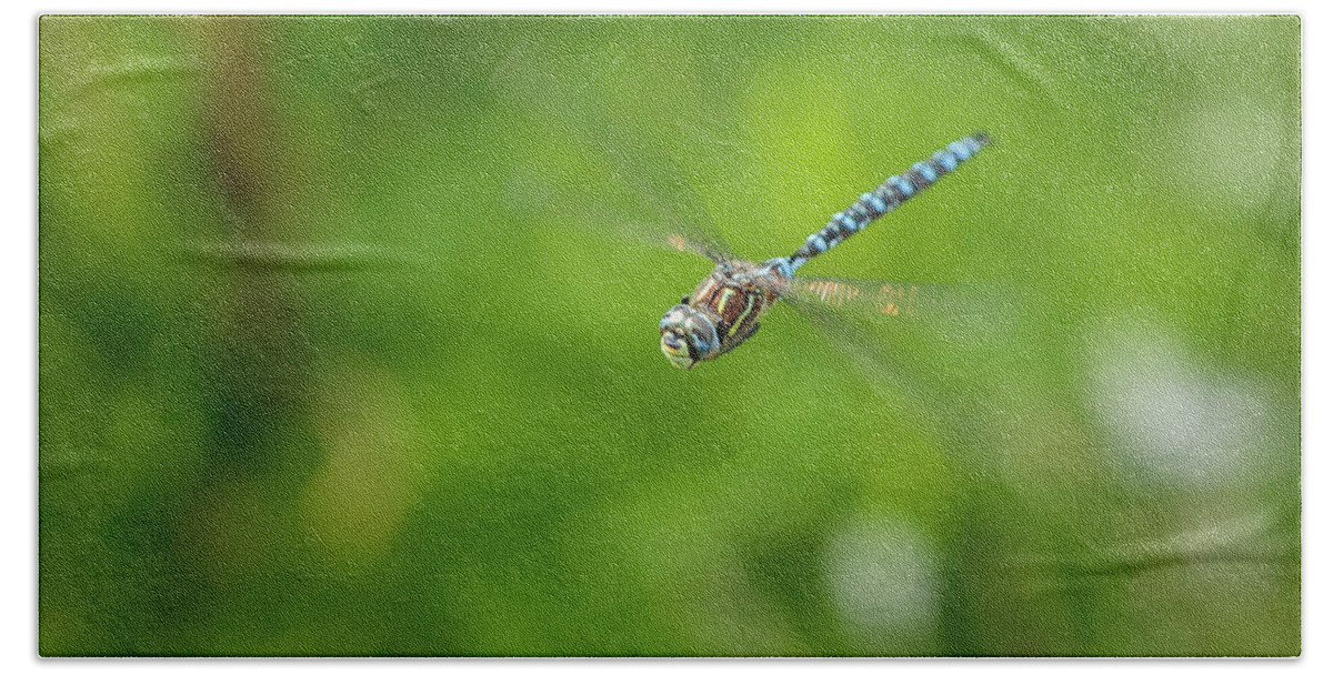 Dragonfly Hand Towel featuring the photograph Emperor Dragonfly by Rick Deacon