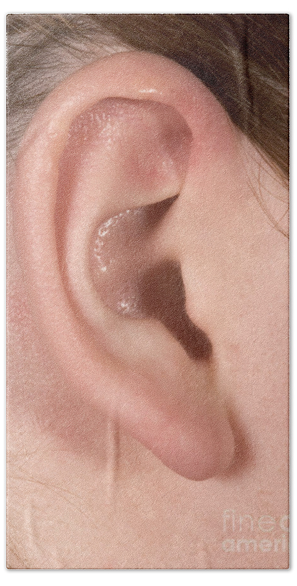 Ear Bath Towel featuring the photograph Human Ear #4 by Ted Kinsman