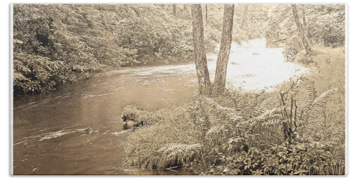 Mud Run Bath Towel featuring the photograph Mud Run Pocono Mountain Stream Pennsylvania #4 by A Macarthur Gurmankin