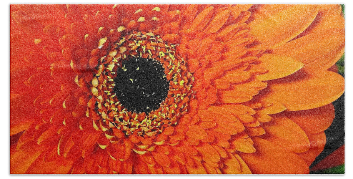 Flora Bath Towel featuring the photograph Orange Delight #4 by Bruce Bley