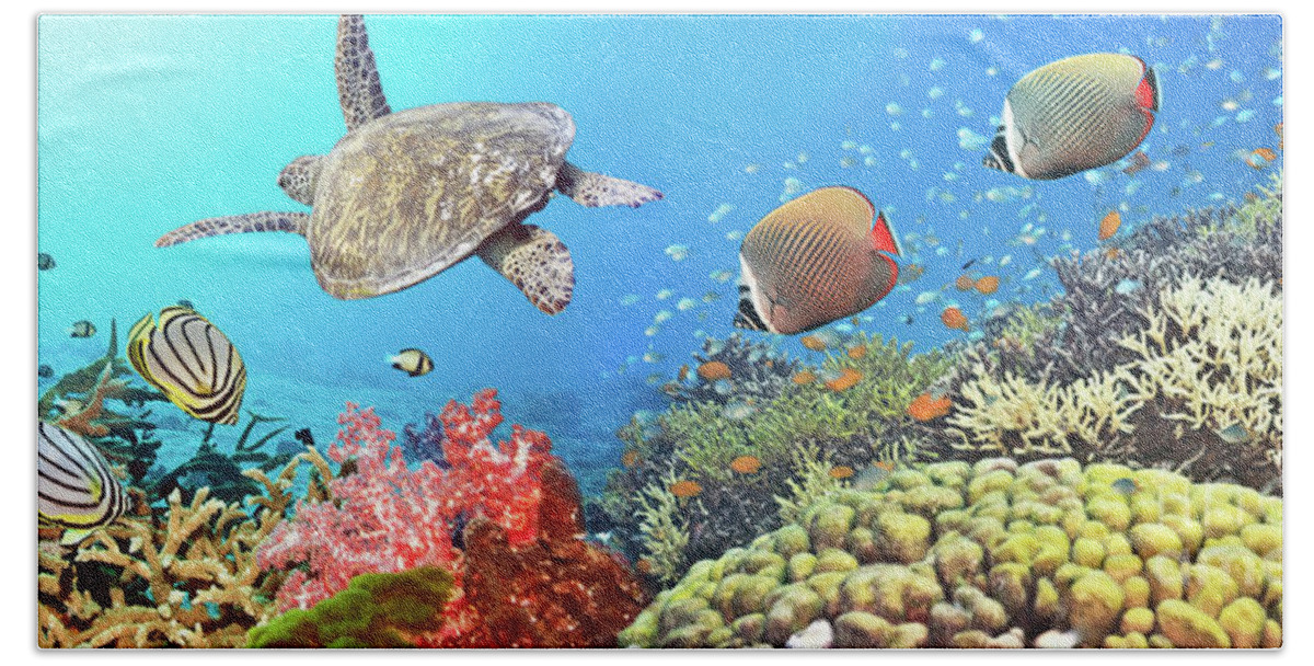 Butterflyfish Bath Sheet featuring the photograph Underwater panorama #4 by MotHaiBaPhoto Prints