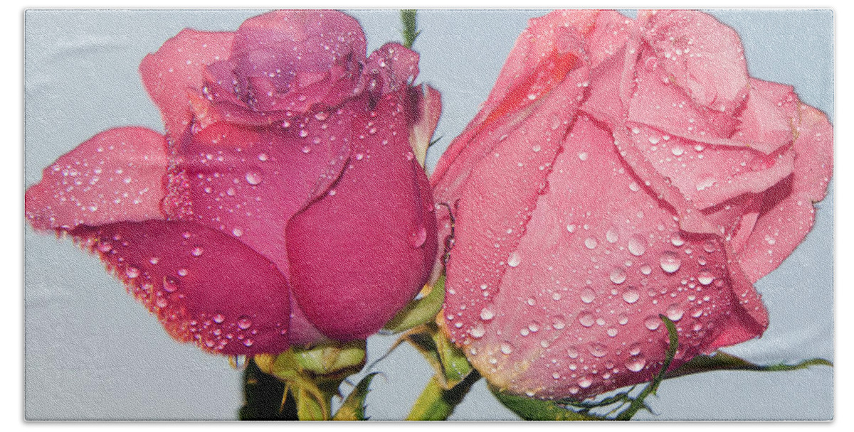 Flowers Bath Sheet featuring the photograph Two Roses #42 by Elvira Ladocki