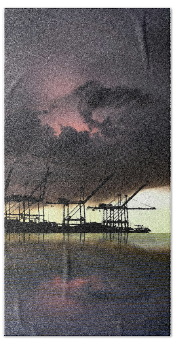 Cranes Bath Towel featuring the photograph 4396 by Peter Holme III