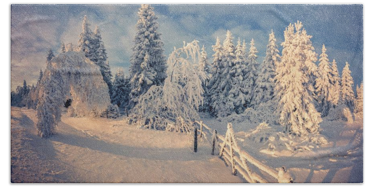 Winter Bath Towel featuring the photograph Winter #44 by Jackie Russo