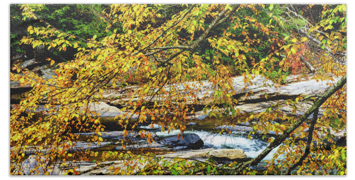 Middle Fork River Bath Towel featuring the photograph Autumn Middle Fork River #5 by Thomas R Fletcher