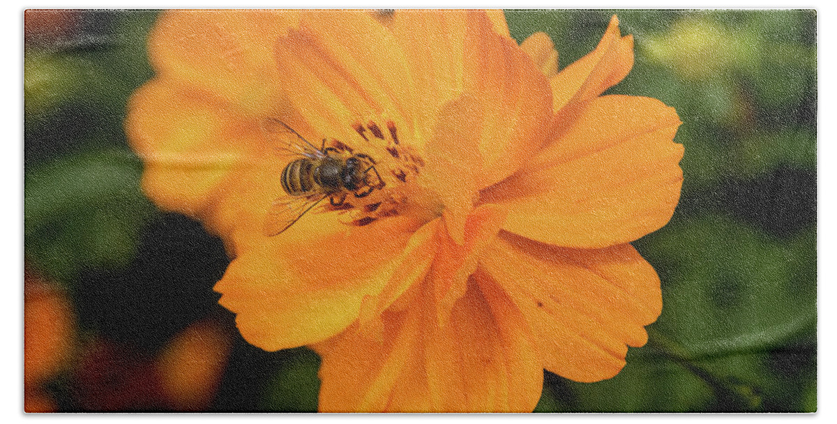 Bee Hand Towel featuring the photograph Pollination #5 by SAURAVphoto Online Store