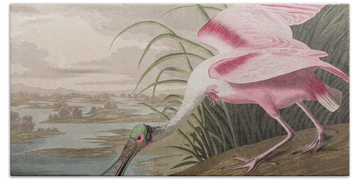 Roseate Spoonbill Hand Towel featuring the painting Roseate Spoonbill by John James Audubon