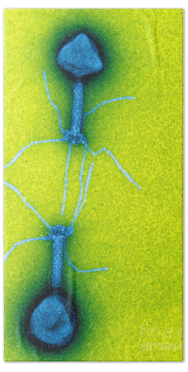Science Hand Towel featuring the photograph T4 Bacteriophages, Tem #5 by Lee D. Simon
