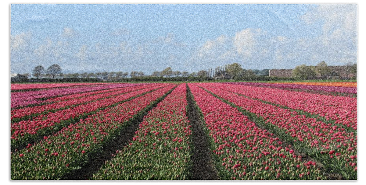 Tulip Bath Towel featuring the photograph Tulips in Warmenhuizen #2 by Chani Demuijlder