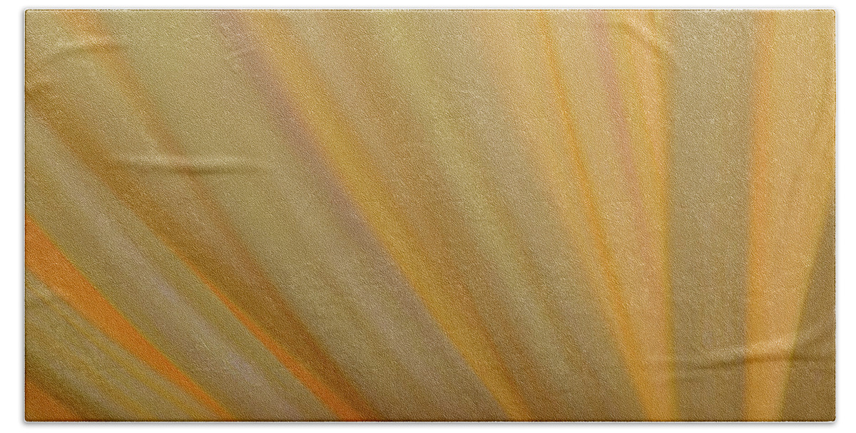 Photograph Hand Towel featuring the photograph Yellow Mum Petals #5 by Larah McElroy