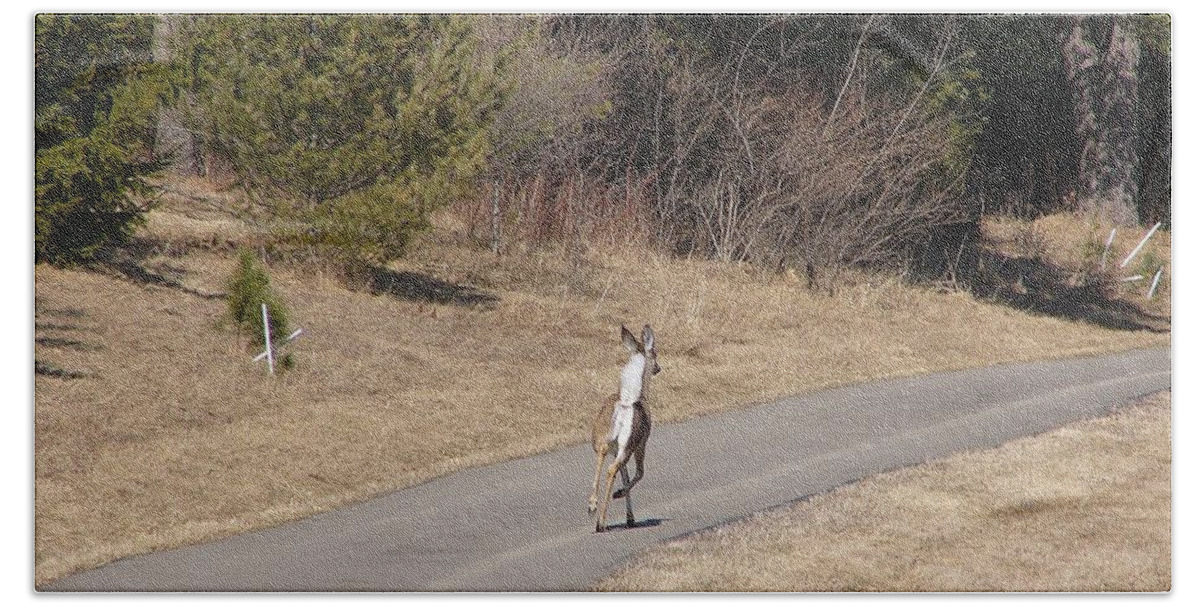 Deer Bath Towel featuring the photograph Deer #55 by Jackie Russo