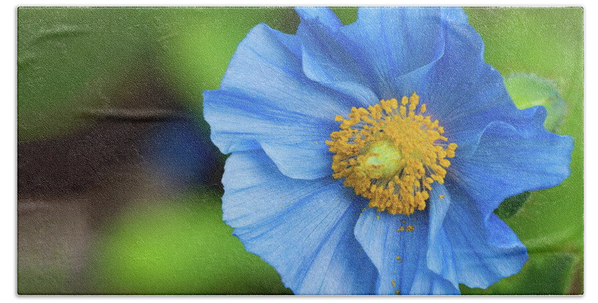 Flower Bath Towel featuring the photograph Flower #56 by Jackie Russo