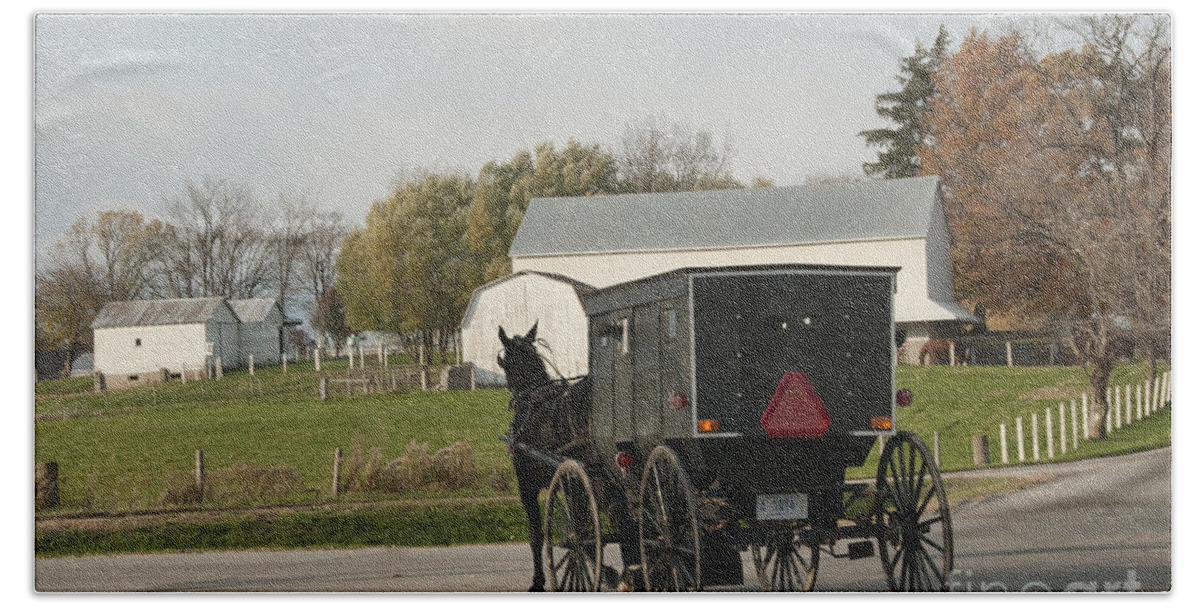 Amish Hand Towel featuring the photograph Amish Buggy #6 by David Arment