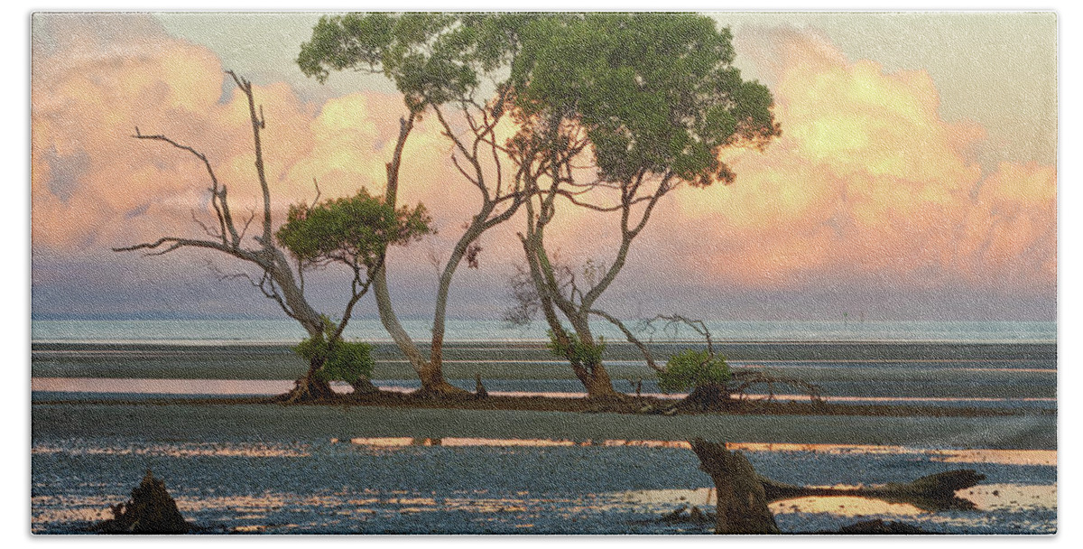 Mangrove Trees Bath Towel featuring the photograph Beachmere #7 by Robert Charity