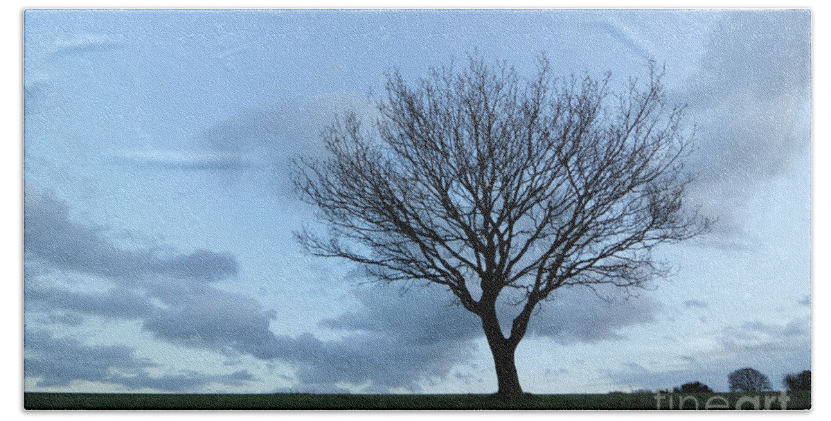 Dusk Epsom Downs Surrey Uk Oak Tree Silhouette Winter Sky Skies Pale Cold Blue Britain British Landscape Stark Twilight Hand Towel featuring the photograph Dusk at Epsom Downs Surrey UK #7 by Julia Gavin