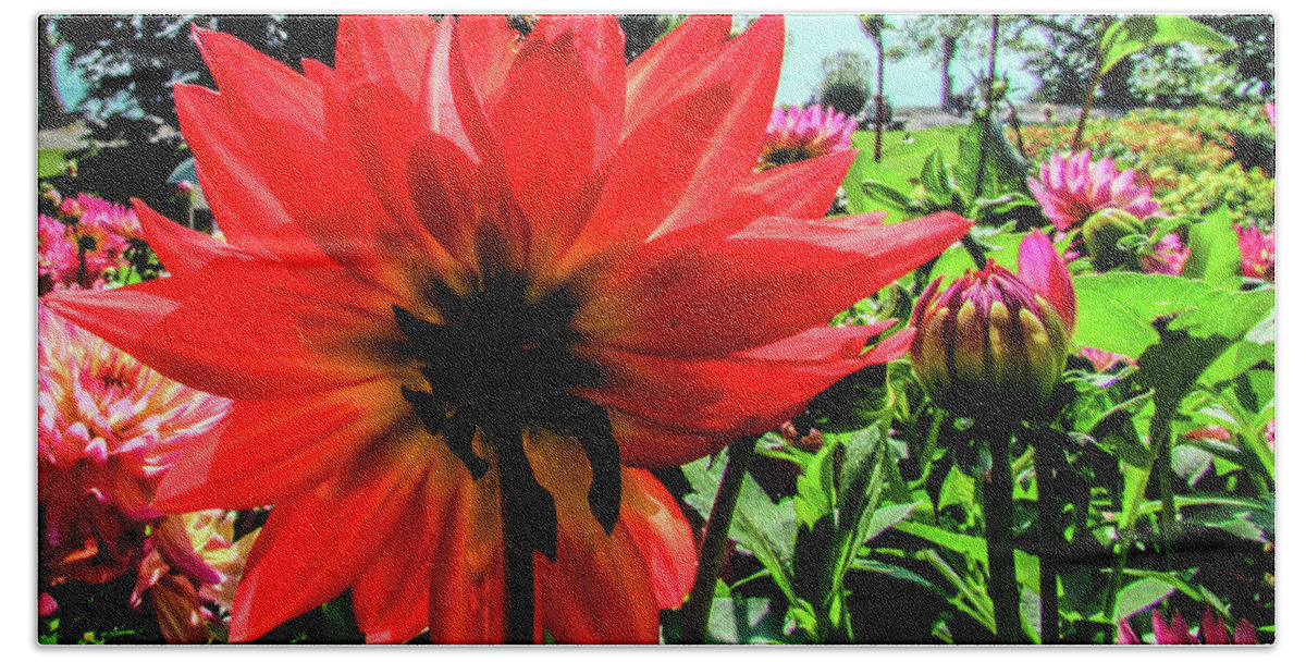 Garden Bath Sheet featuring the photograph Flower #6 by Cesar Vieira
