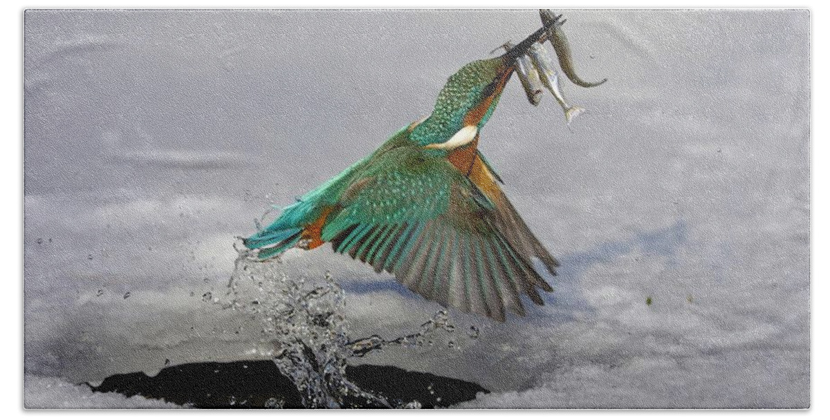 Kingfisher Hand Towel featuring the photograph Kingfisher #6 by Jackie Russo