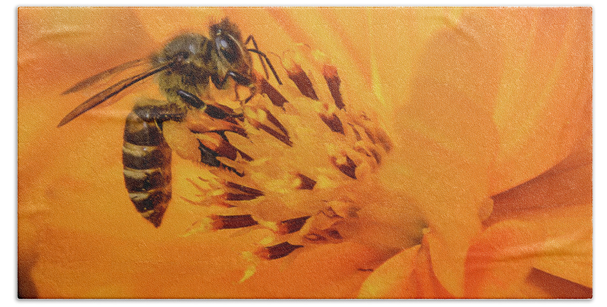 Bee Hand Towel featuring the photograph Pollination #6 by SAURAVphoto Online Store