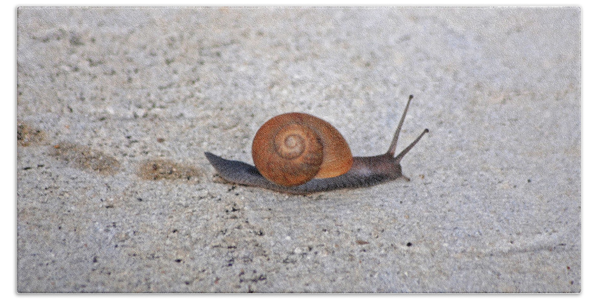 Snail Hand Towel featuring the photograph 6- Snail by Joseph Keane