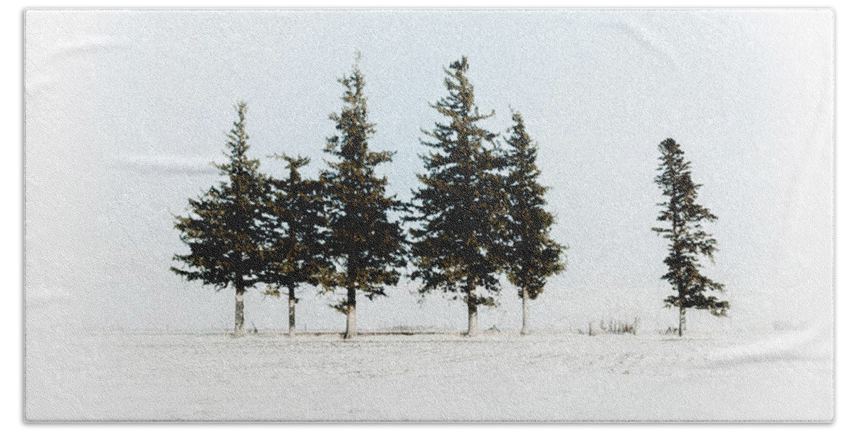 Pine Bath Towel featuring the photograph 6 Trees by Troy Stapek