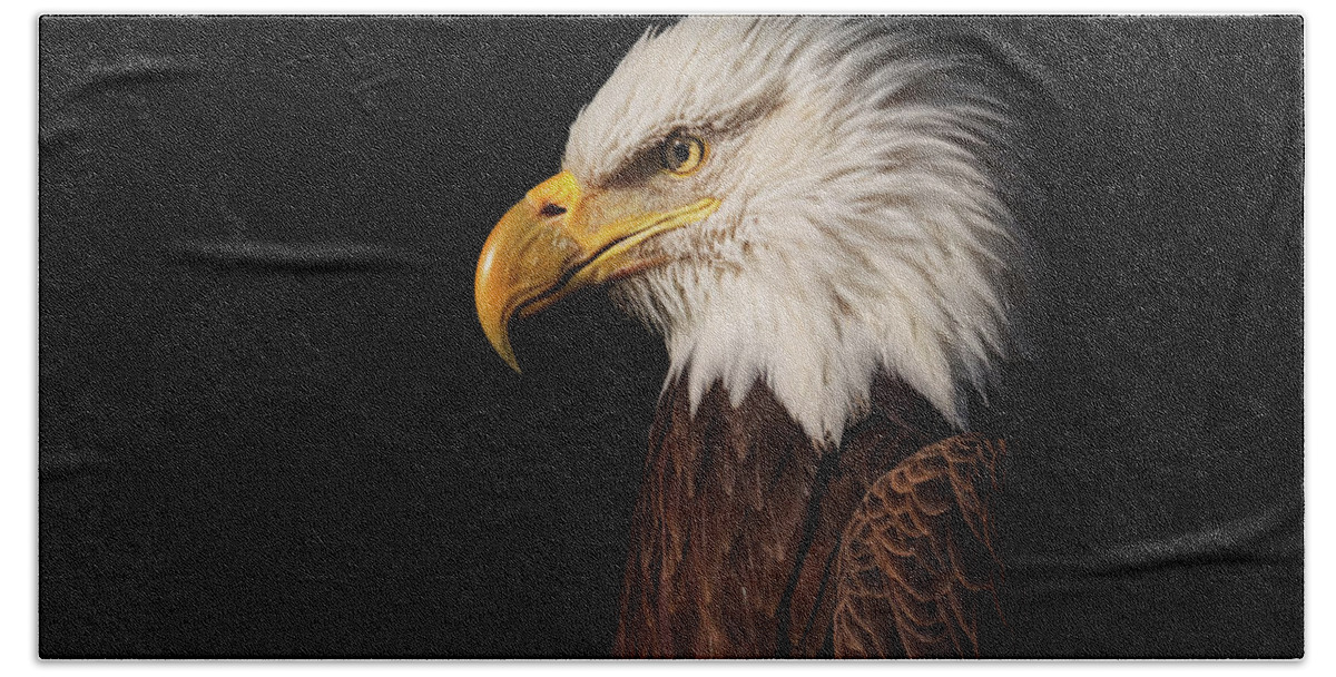 Animal Bath Towel featuring the photograph Bald Eagle #7 by Brian Cross