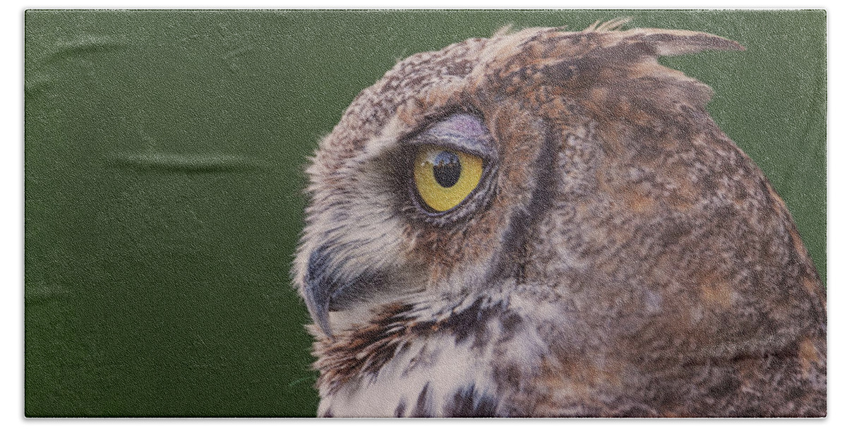 Animal Bath Towel featuring the photograph Great Horned Owl #7 by Brian Cross