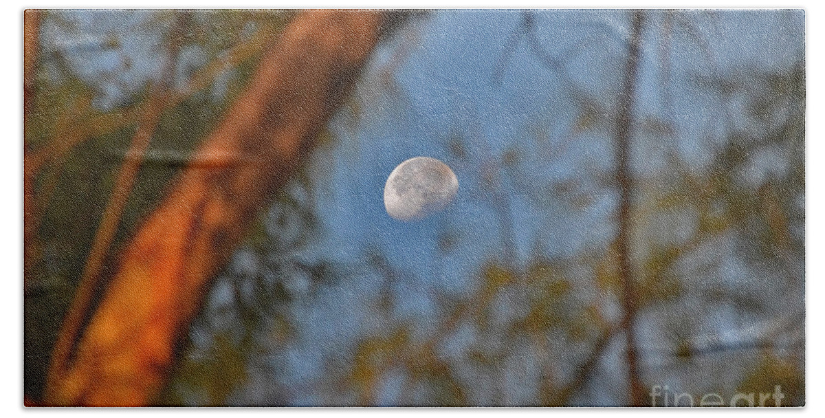 Moon Bath Towel featuring the photograph 7- Moon Forest by Joseph Keane