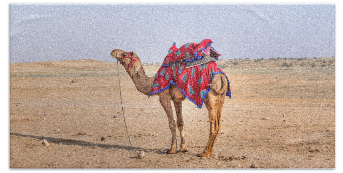 Thar Desert Hand Towel featuring the photograph Thar Desert - India #7 by Joana Kruse