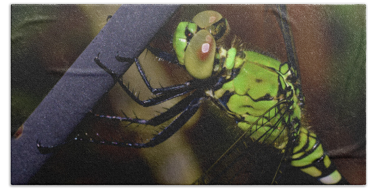 Photograph Hand Towel featuring the photograph Dragonfly #8 by Larah McElroy
