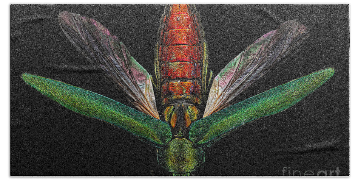 Macro Bath Towel featuring the photograph Emerald Ash Borer #8 by Macroscopic Solutions