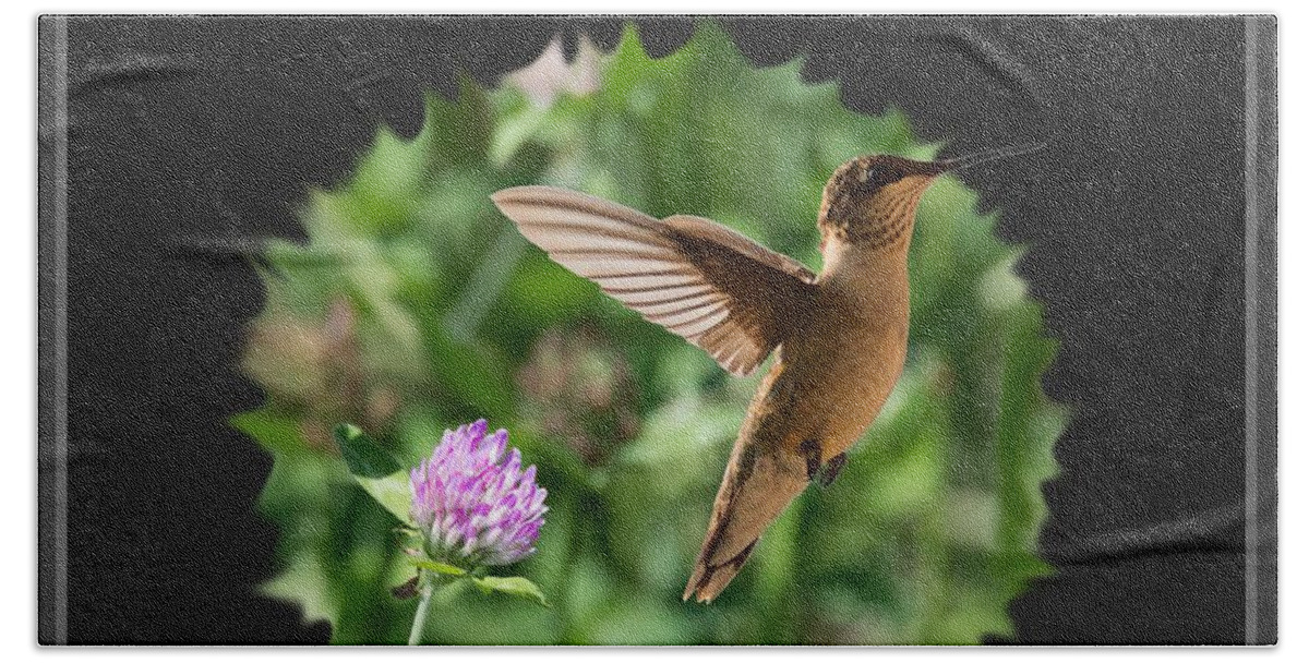 Hummingbird Bath Towel featuring the photograph Hummingbird by Holden The Moment