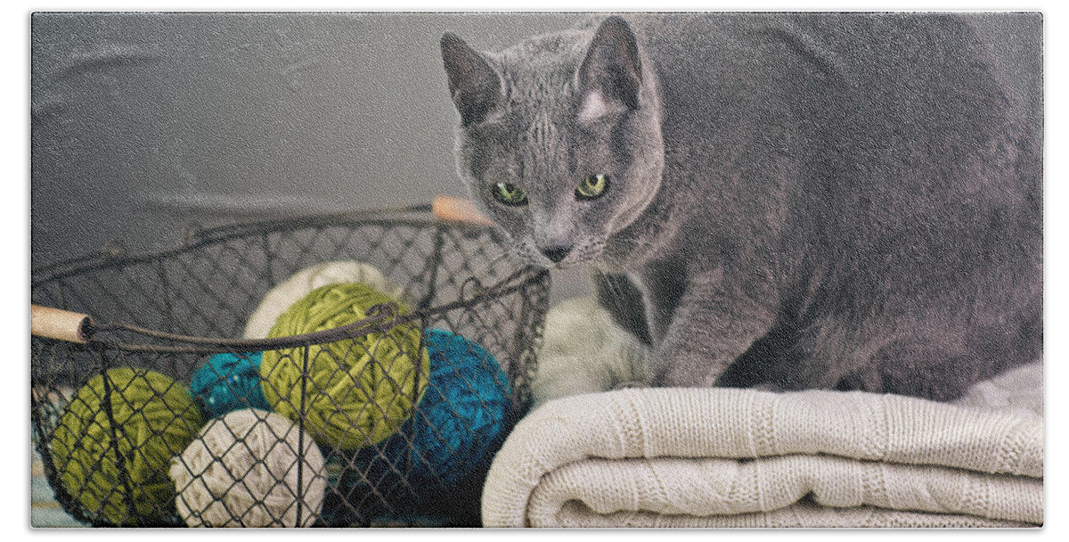 Purebred Hand Towel featuring the photograph Russian Blue #8 by Nailia Schwarz