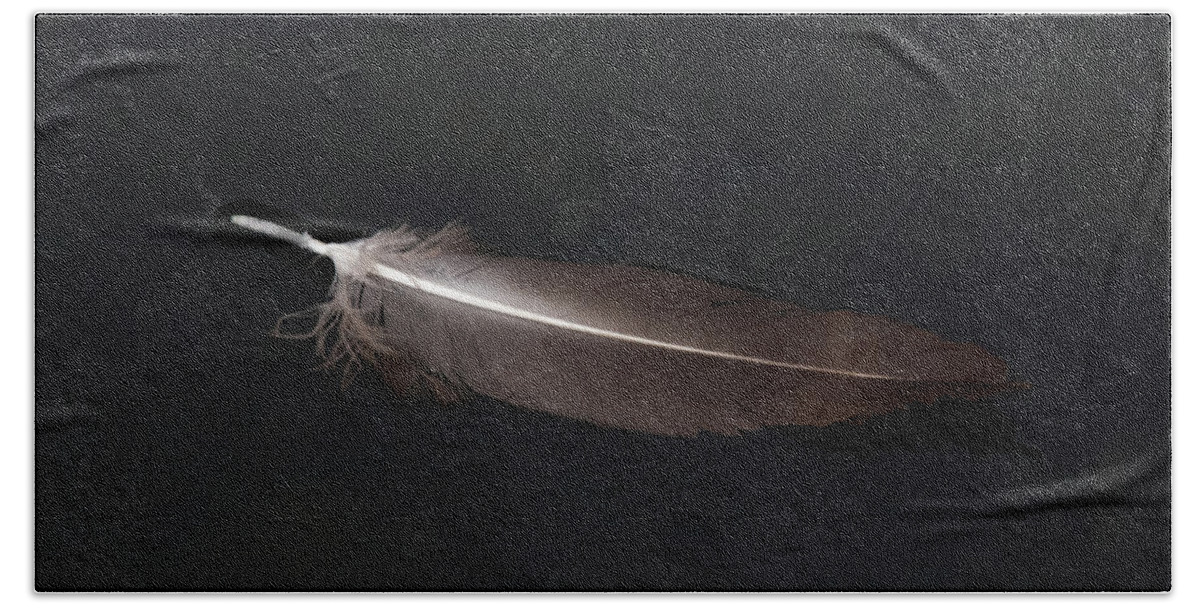 Feather Hand Towel featuring the photograph A Black Vulture Feather Floating on the Swanee river by John Harmon