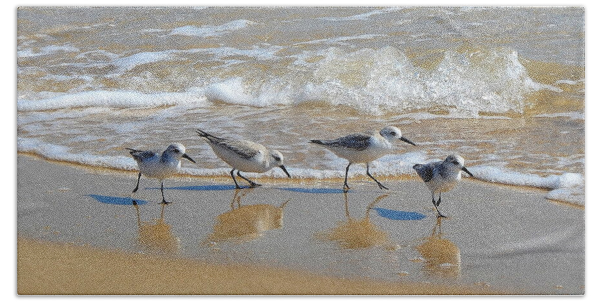 Sandpiper Hand Towel featuring the photograph A Cute Quartet of Sandpipers by Carla Parris