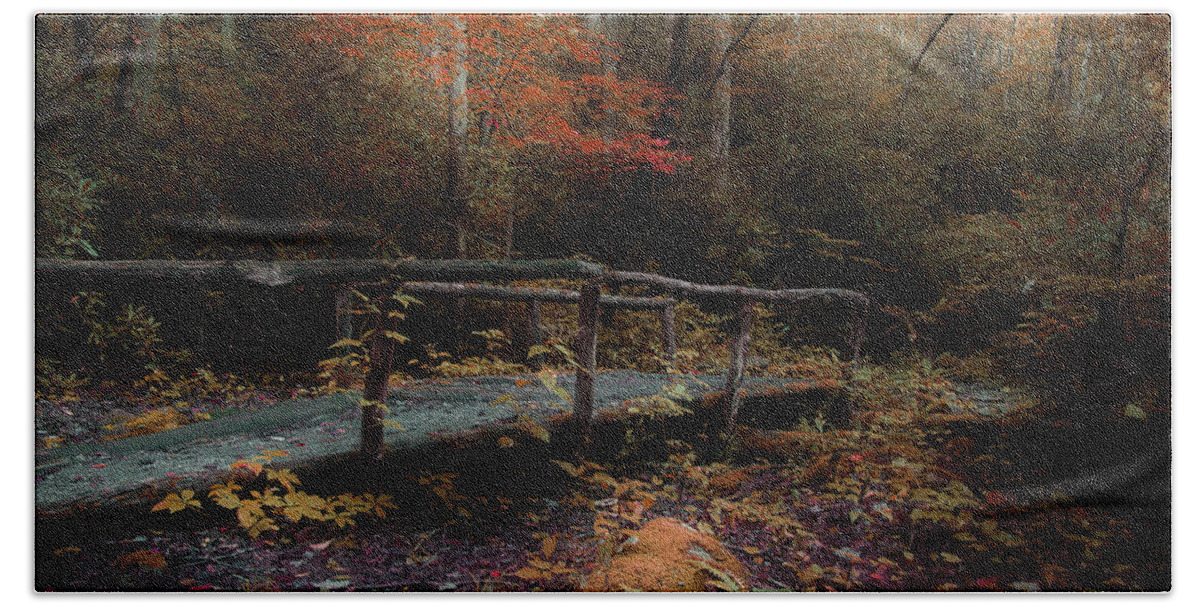 Nature Trail Bridge Bath Towel featuring the photograph A Day Hiking by Mike Eingle