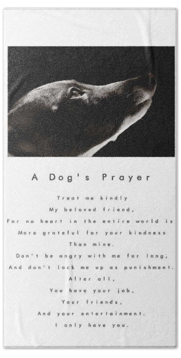 A Dogs Prayer Bath Towel featuring the photograph A Dog's Prayer in White A Popular Inspirational Portrait and Poem Featuring an Italian Greyhound by Angela Rath