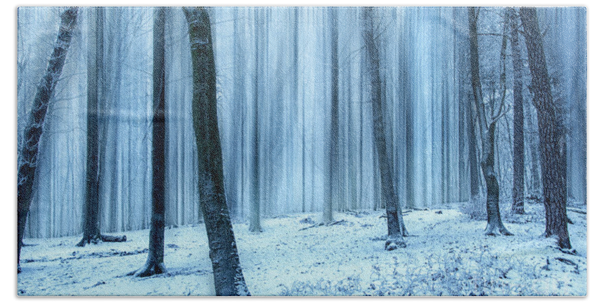 Forest Hand Towel featuring the photograph A Forest in Winter by David Lichtneker