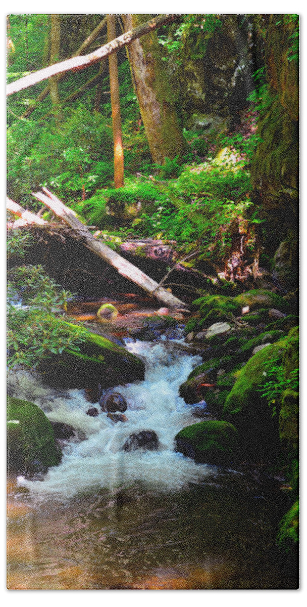 Pool Of Water Bath Sheet featuring the photograph A forests cool pool by David Lee Thompson