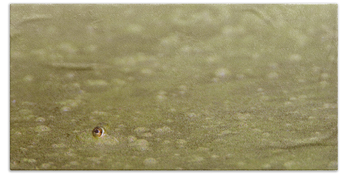 Amphibian Bath Towel featuring the photograph A Frogs Eye in Pond Muck by John Harmon