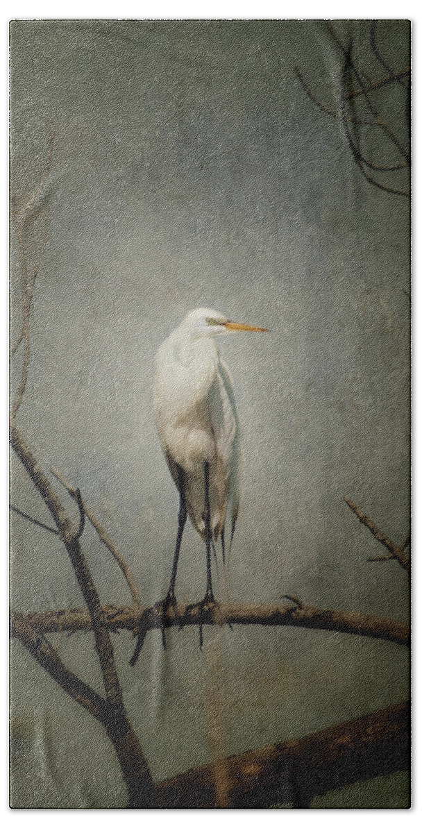 Great Egret Hand Towel featuring the photograph A Great Egret by Al Mueller
