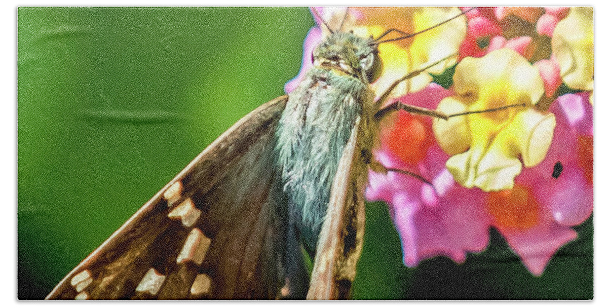 Moth Bath Towel featuring the digital art A Green Moth with brown wings by Ed Stines