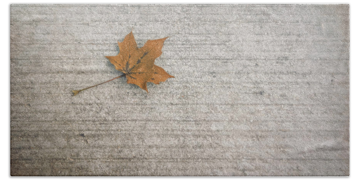 Leaf Hand Towel featuring the photograph A Hint of Autumn by Scott Norris