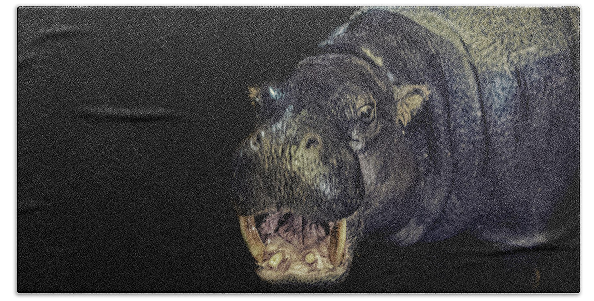 Hippo Hand Towel featuring the photograph A Hippos Smile by Martin Newman