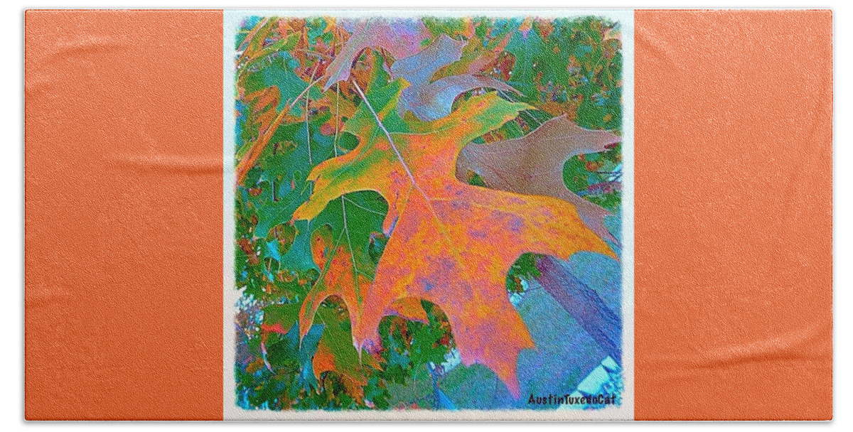 Beautiful Bath Towel featuring the photograph A #leaf From A #beautiful #redoak by Austin Tuxedo Cat