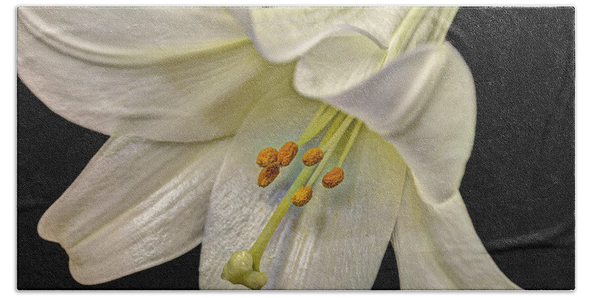 Easter Bath Towel featuring the photograph A Lily for Easter by Deborah Klubertanz