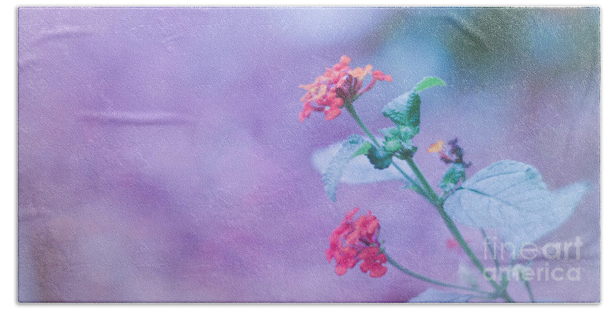 Adrian-deleon Hand Towel featuring the photograph A little softness, A little color - Macro Flowers by Adrian De Leon Art and Photography
