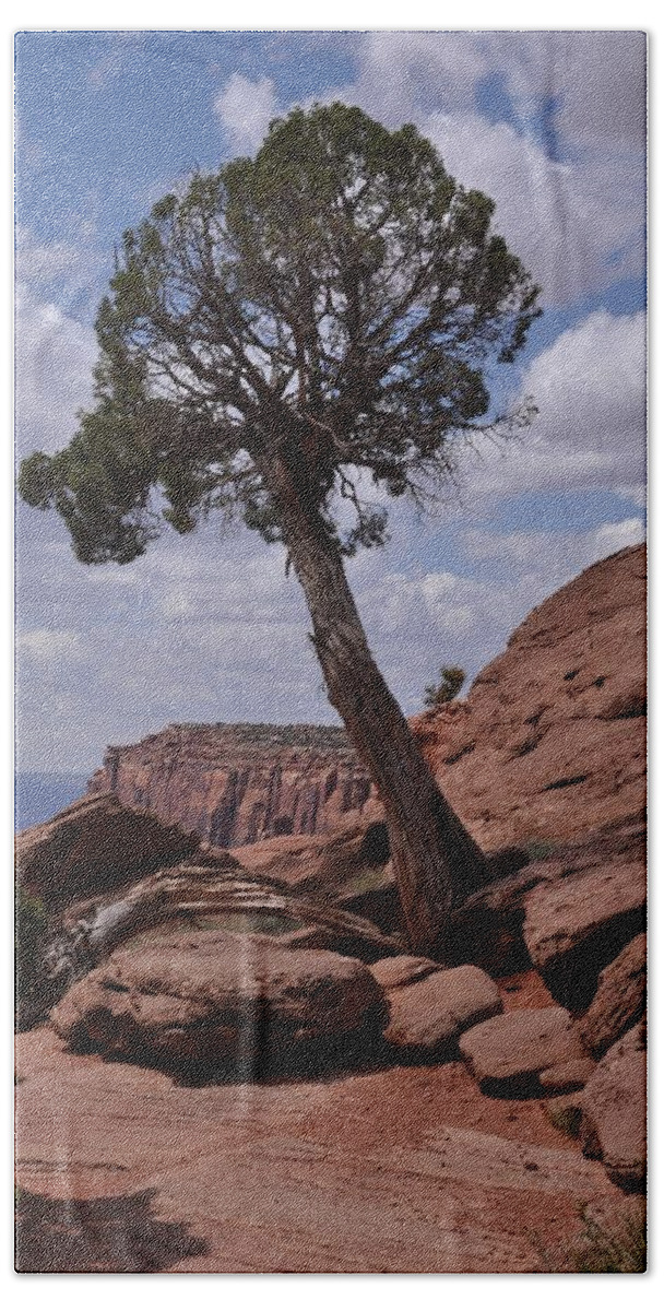 Canyonlands National Park Bath Towel featuring the photograph A Lone Tree by Frank Madia
