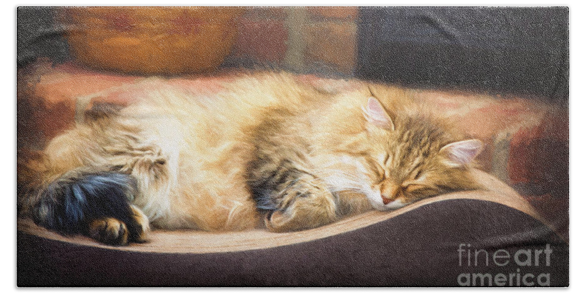 Cat Bath Towel featuring the digital art A Long Winter's Nap by Sharon McConnell
